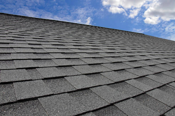 Best Asphalt Shingle Roofing  in Chelsea, MI